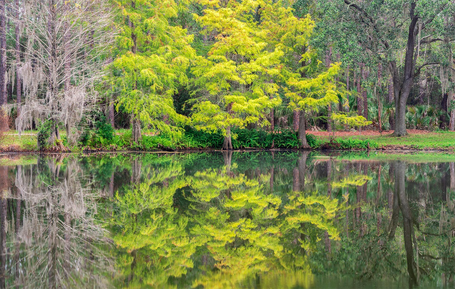 Reflective Calm – a Landscape Fine Art Photograph lakeside in a North Pinalls County Park by Brian Jones of 1350 West LLC