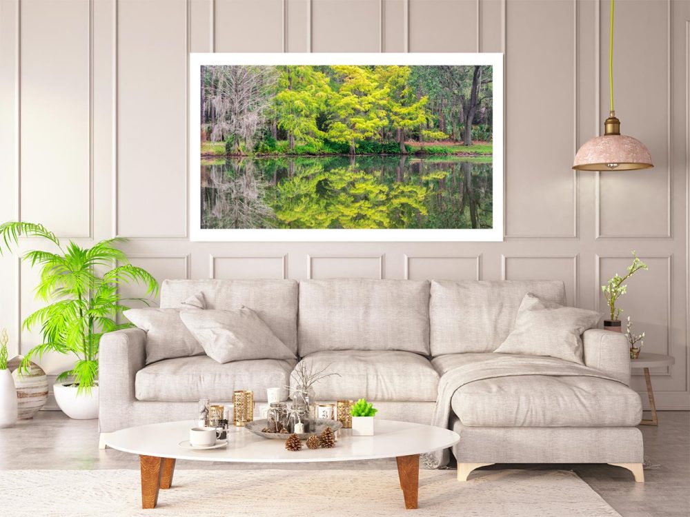 Wall mockup of the Landscape Photography Fine Art Photograph Reflective Calm of a morning of reflectrions along a lake in a North Pinellas County park