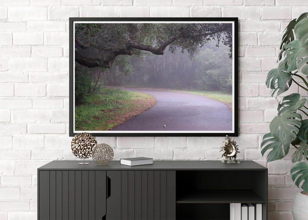 Wall mockup of A woodland photograph the Path Unknown is amorning path amongst the woodlands in Largo, Florida
