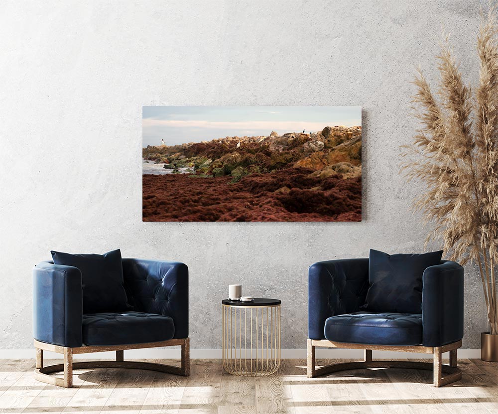 Wall mockup of a seascape photograph along the shoreline of Sand Key with three birds on the rocks and a fisherman at the end
